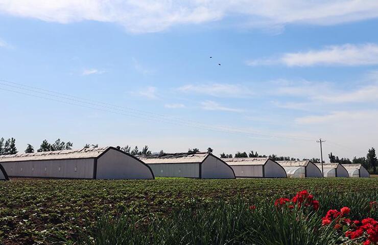 福建漳州蔬菜配送基地